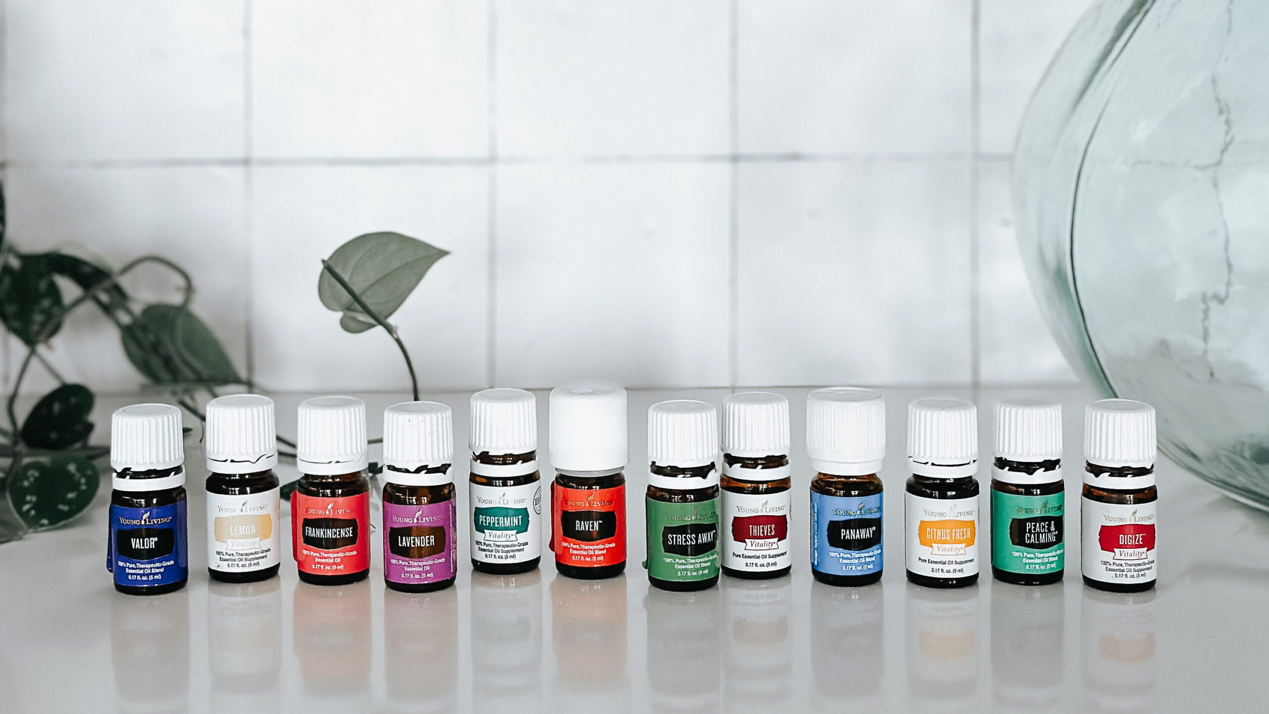 Twelve essential oils that come in the Premium Starter Bundle