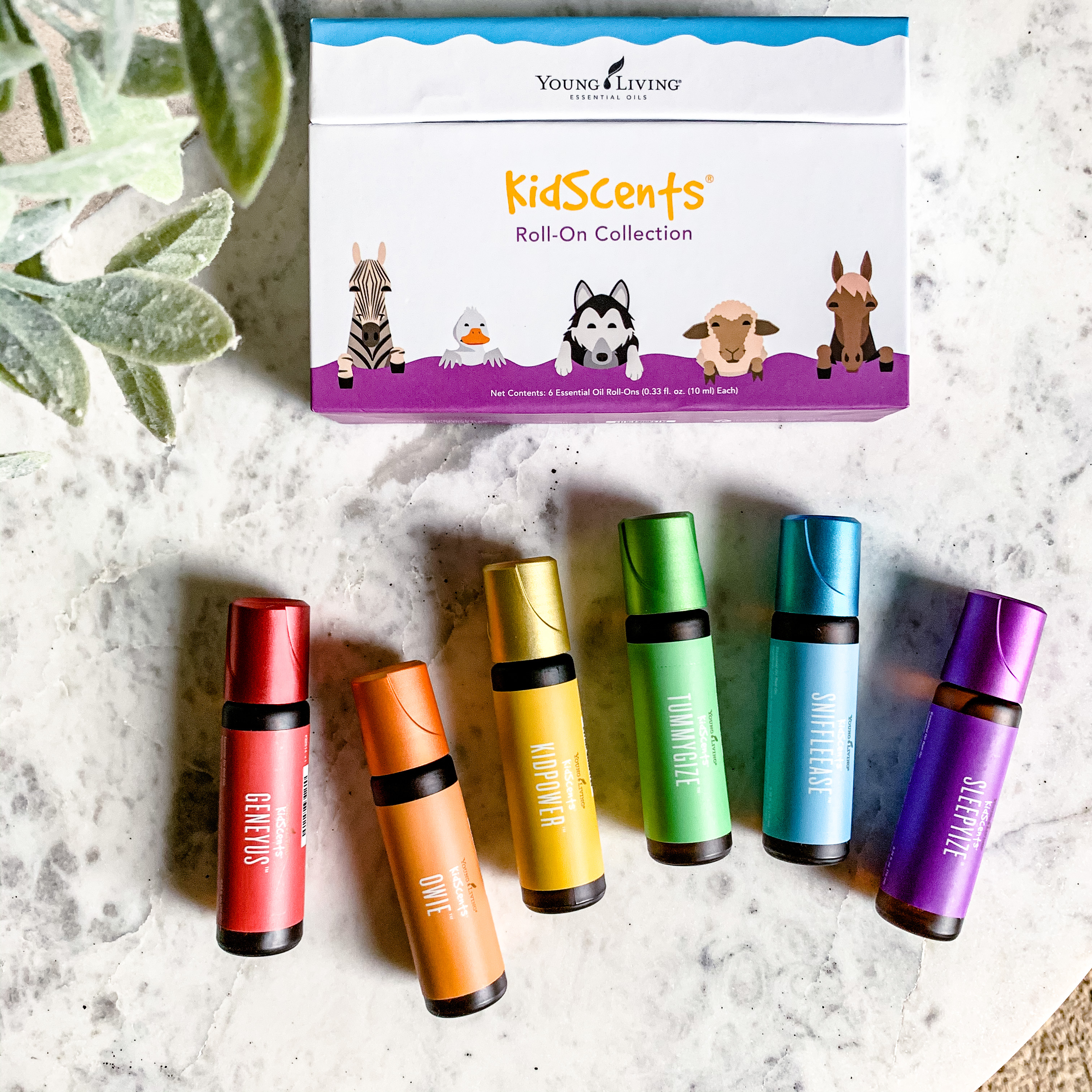 Kids can use essential oils with the Young Living KidScents line of products.